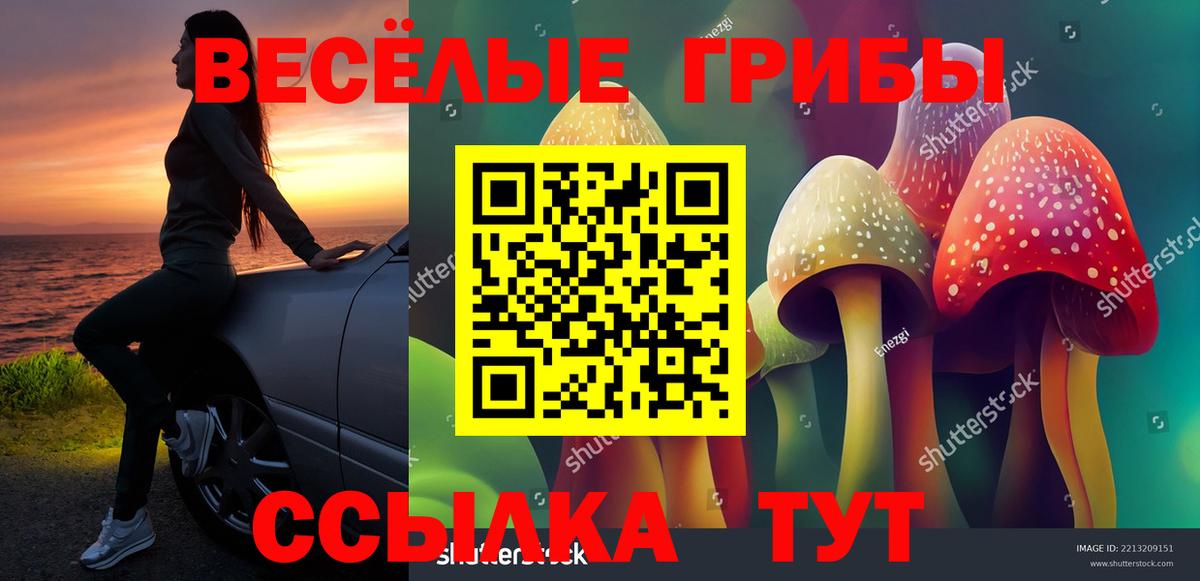 Псилоцибиновые грибы ЛСД Новотроицк