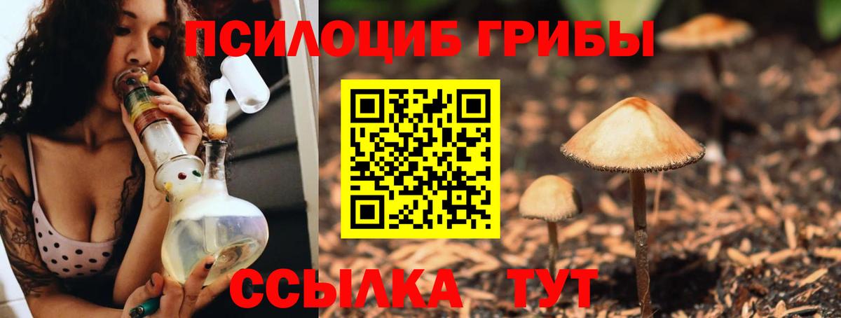 Новотроицк  Псилоцибиновые грибы ЛСД  Вход с VPN 