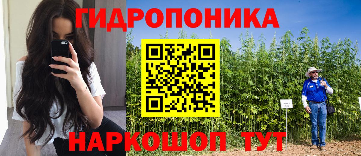 Новотроицк  Каннабис ГИДРОПОН  Вход с VPN  Марихуана конопля  Канабис марихуана  Канабис Ganja 